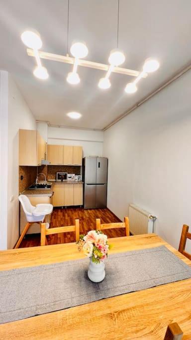 Otopeni Airport Apartment With Private Garden エクステリア 写真