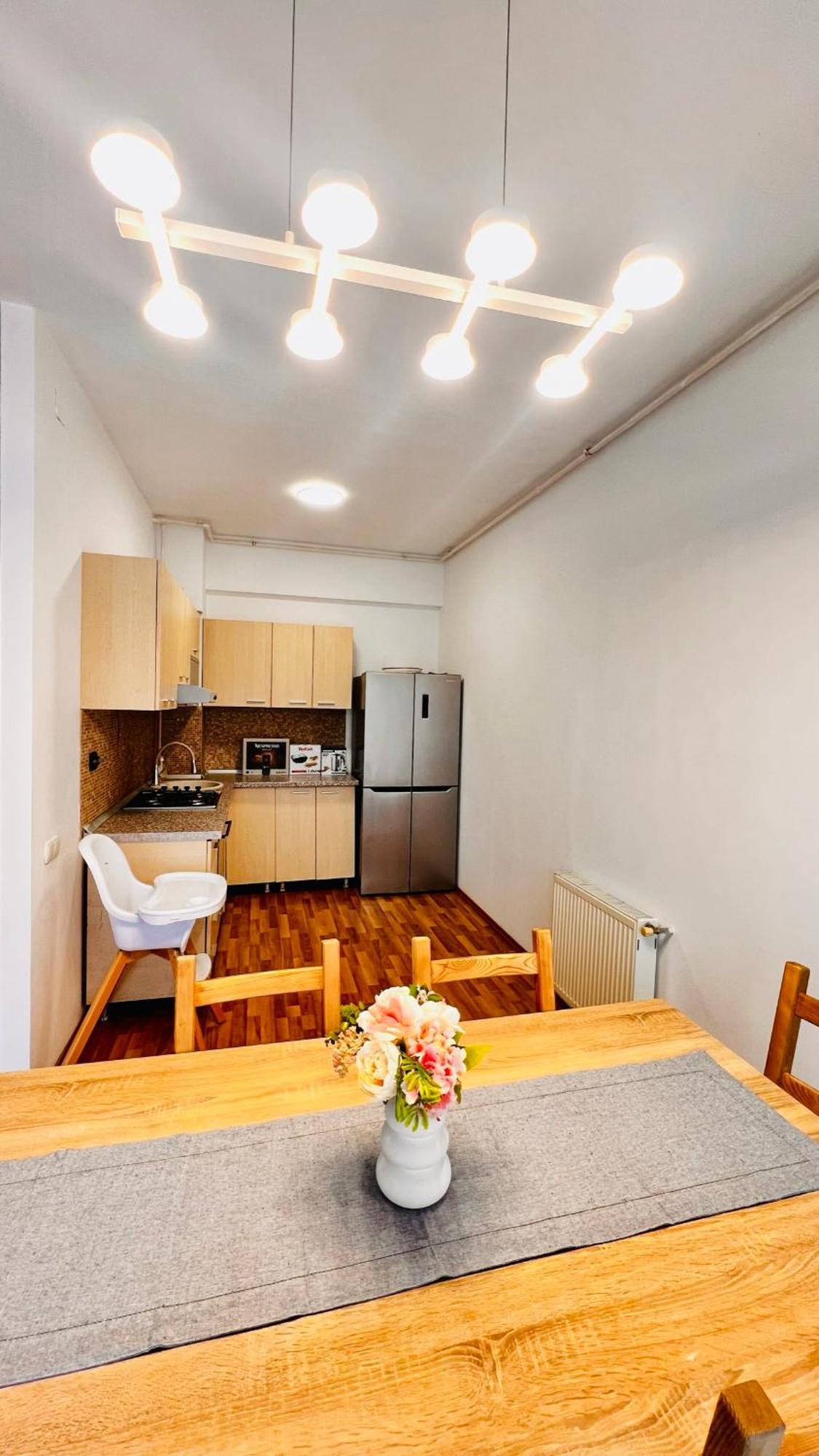 Otopeni Airport Apartment With Private Garden エクステリア 写真
